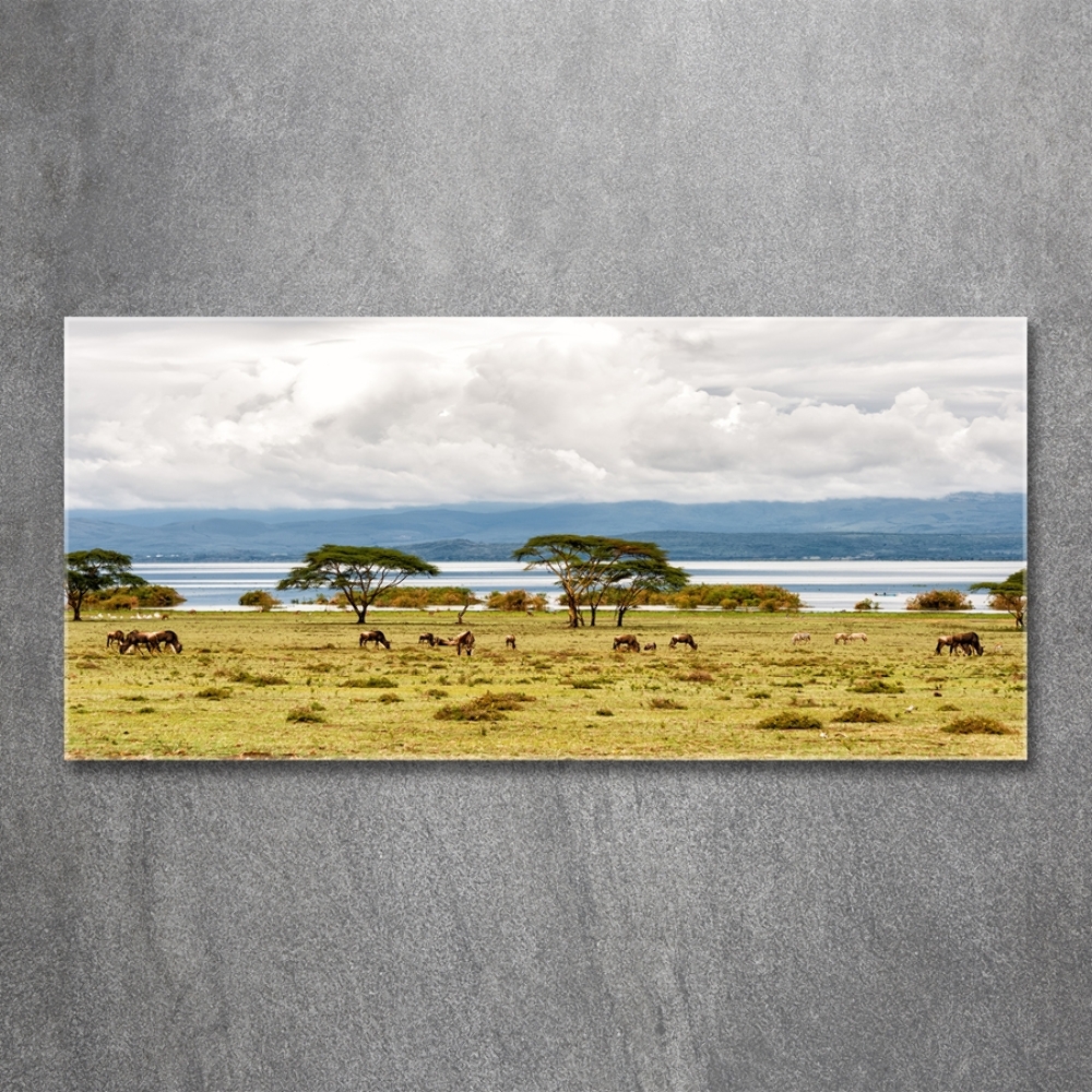 Tableau en verre Lac Naivasha