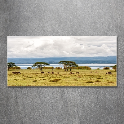 Tableau en verre Lac Naivasha