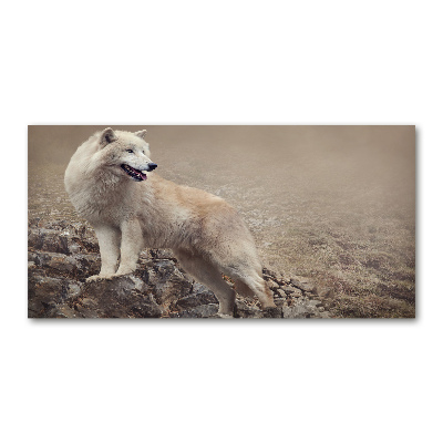 Tableau en verre Loup blanc sur un rocher