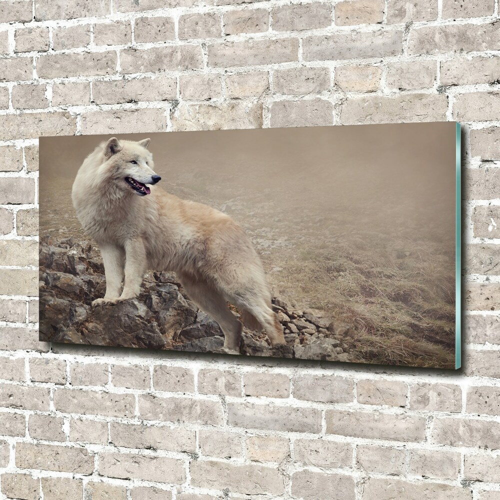 Tableau en verre Loup blanc sur un rocher