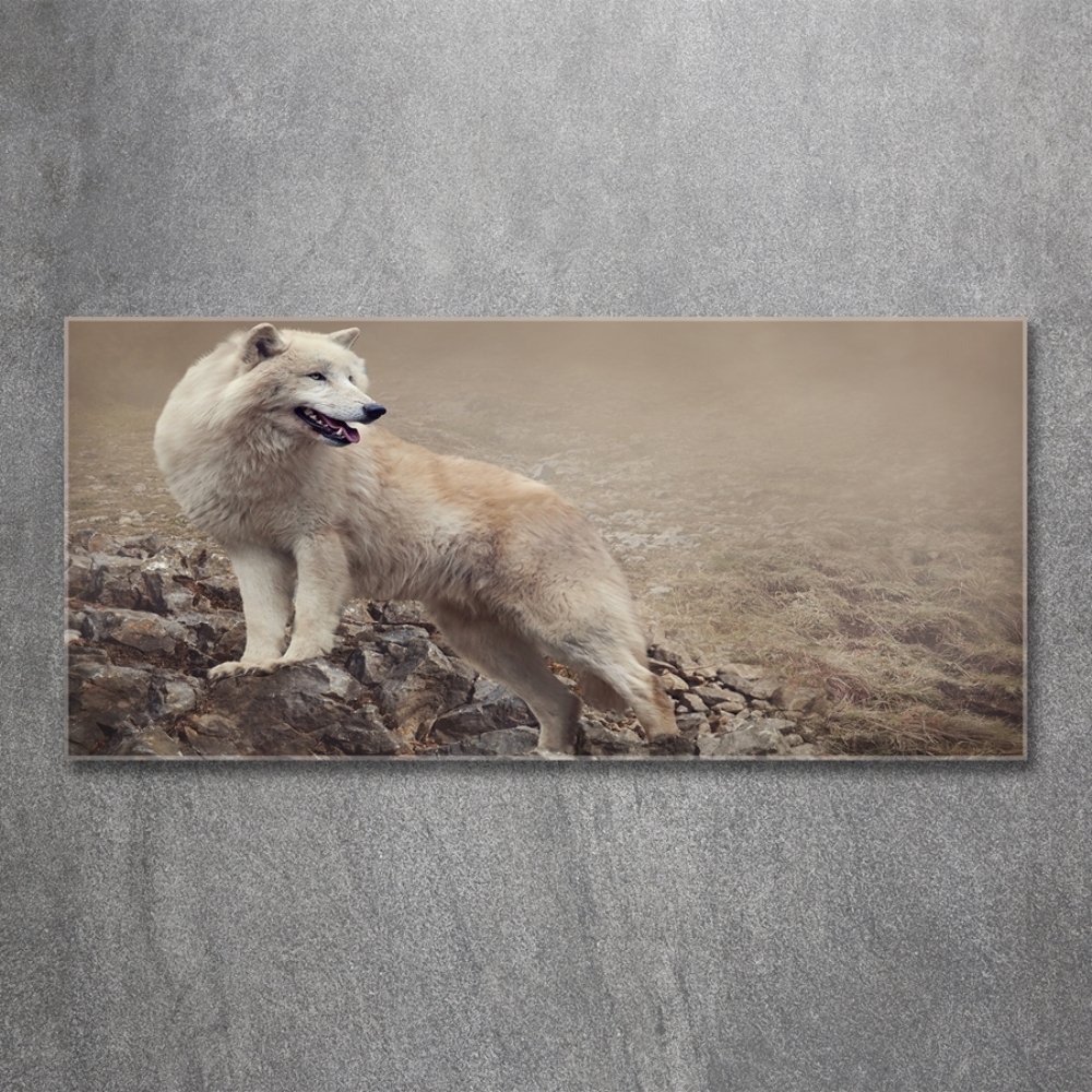 Tableau en verre Loup blanc sur un rocher