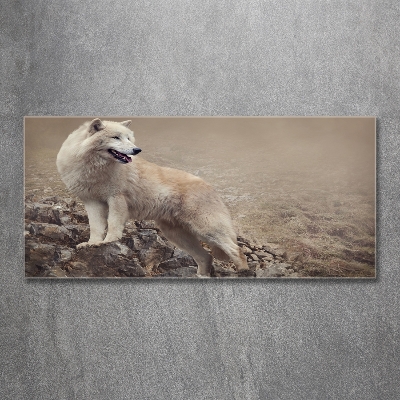 Tableau en verre Loup blanc sur un rocher