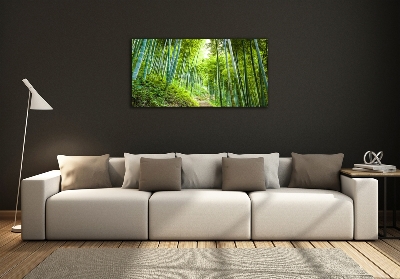 Tableau photo sur verre Forêt de bambous