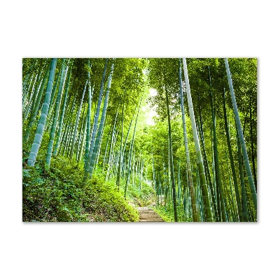 Tableau photo sur verre Forêt de bambous