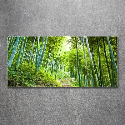 Tableau photo sur verre Forêt de bambous