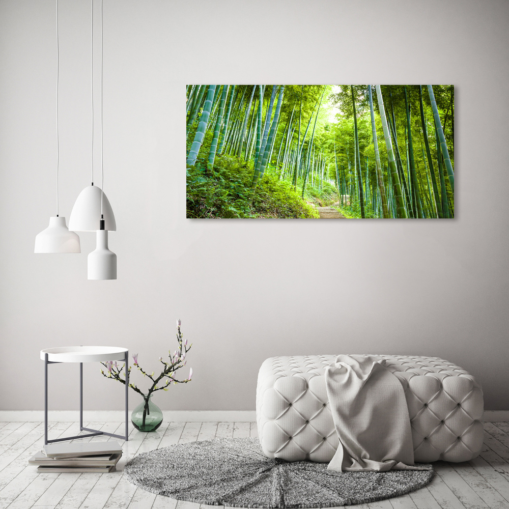 Tableau photo sur verre Forêt de bambous