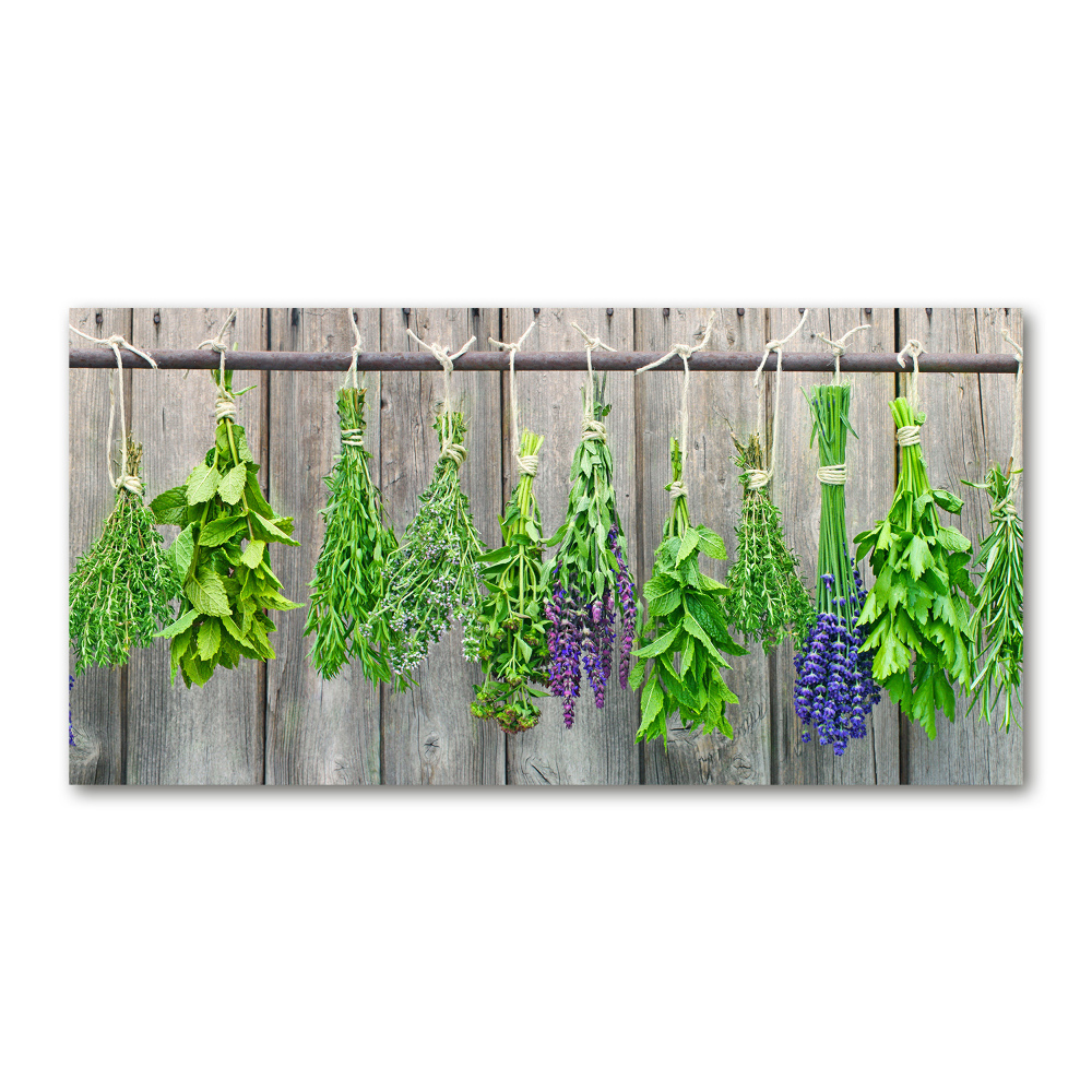 Tableau photo sur verre Herbes sur un fil