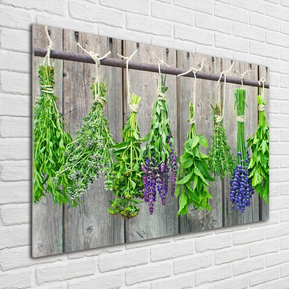 Tableau photo sur verre Herbes sur un fil