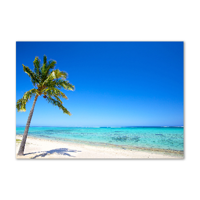 Tableau imprimé sur verre Plage tropicale océan