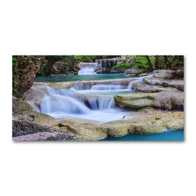 Tableau verre imprimé Cascade dans la forêt