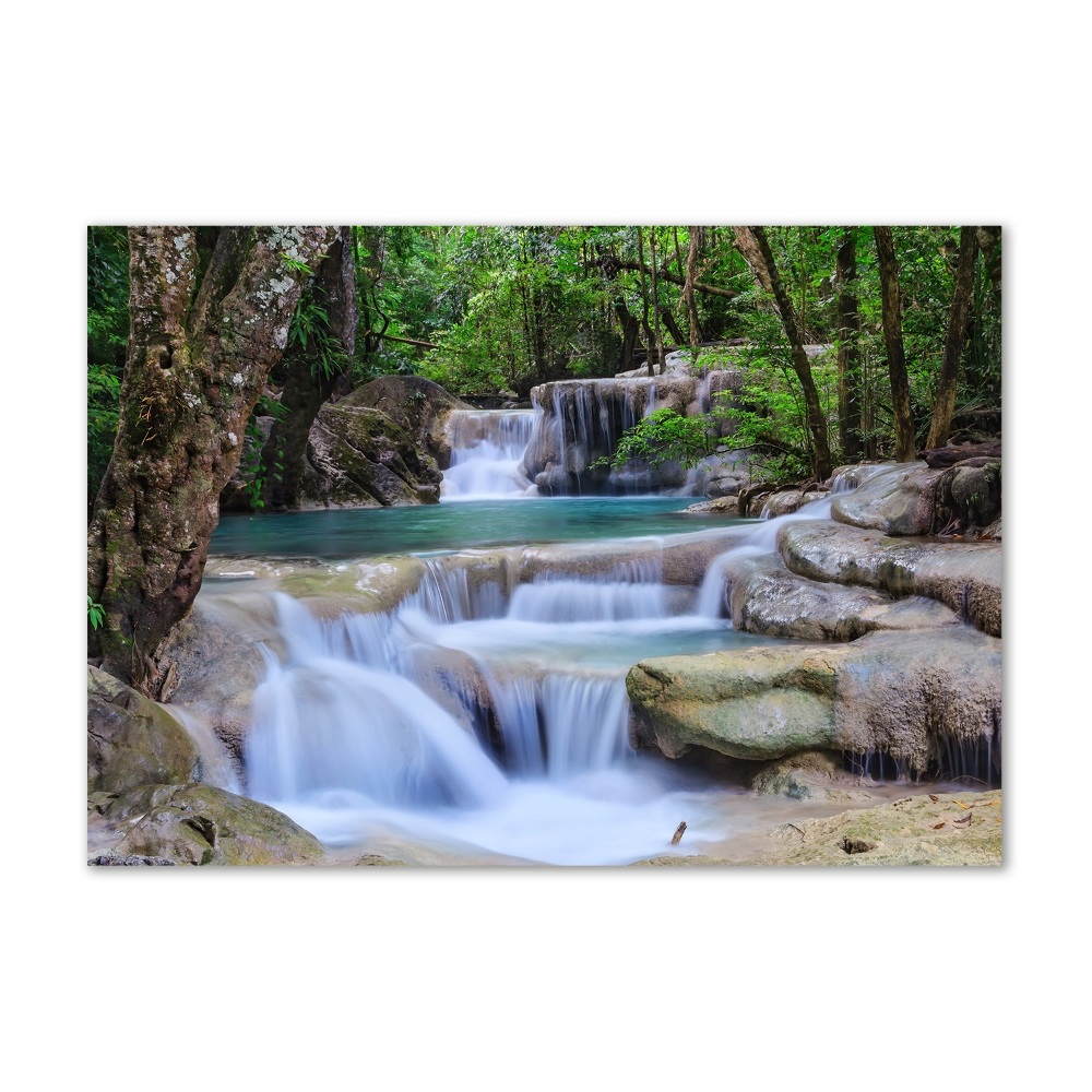 Tableau verre imprimé Cascade dans la forêt