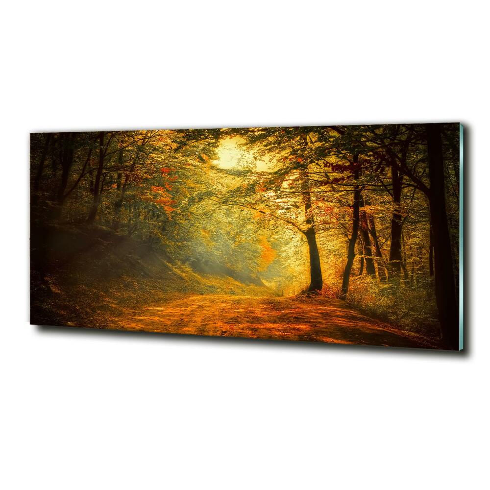 Tableau sur verre Forêt d'automne