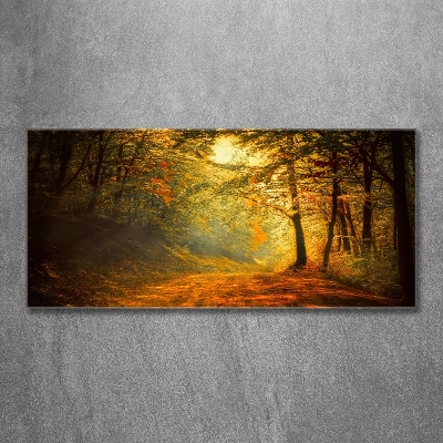 Tableau sur verre Forêt d'automne