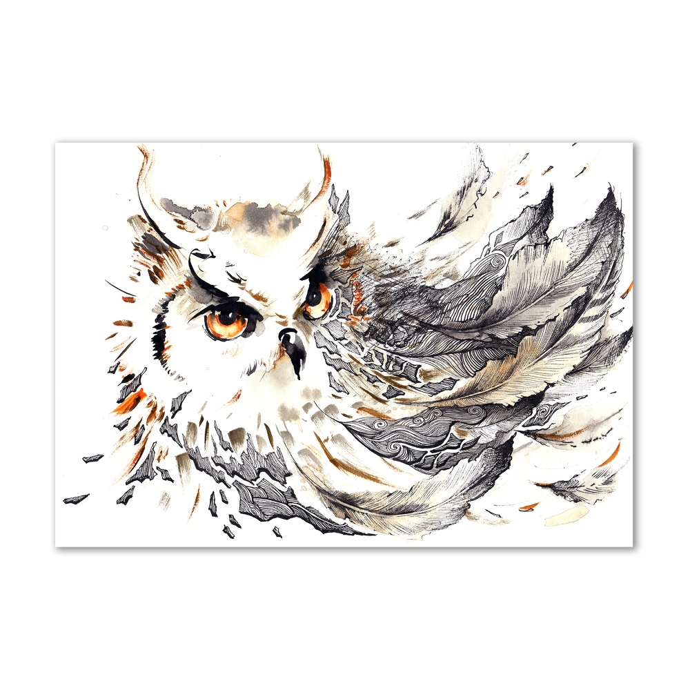 Tableau photo sur verre Hibou