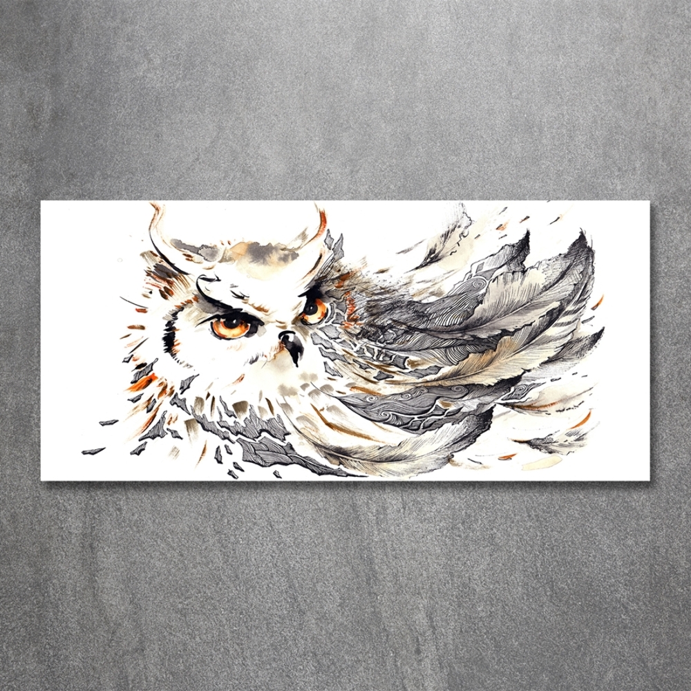 Tableau photo sur verre Hibou