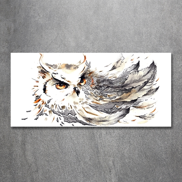 Tableau photo sur verre Hibou