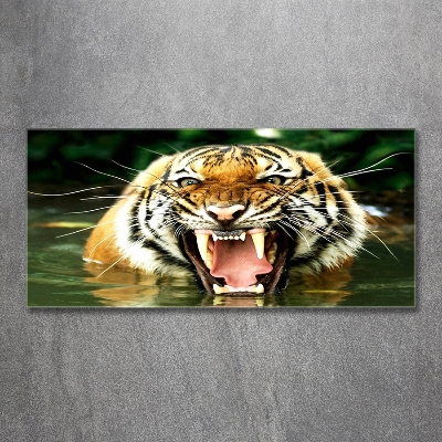 Tableau imprimé sur verre Tigre rugissant