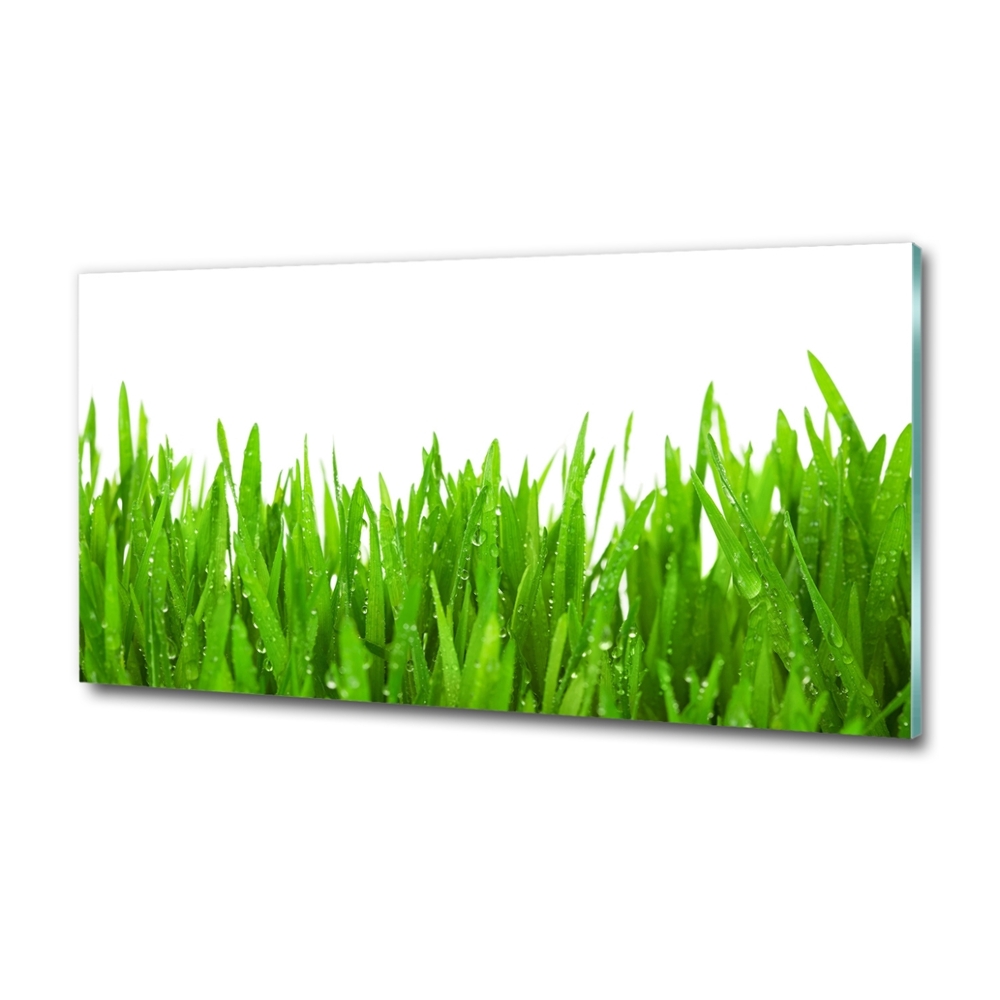 Tableau photo sur verre Herbe