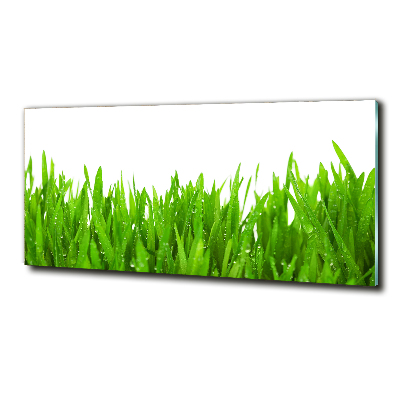 Tableau photo sur verre Herbe