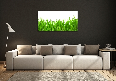 Tableau photo sur verre Herbe