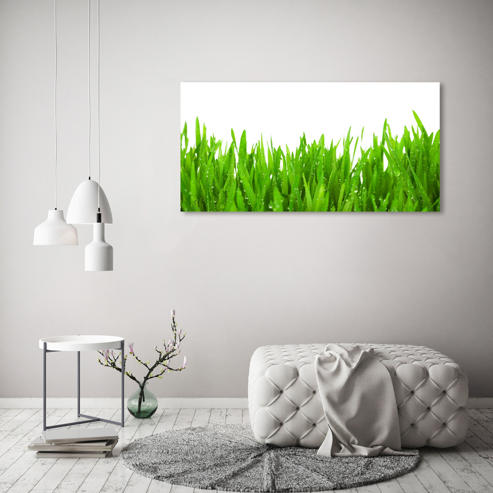 Tableau photo sur verre Herbe