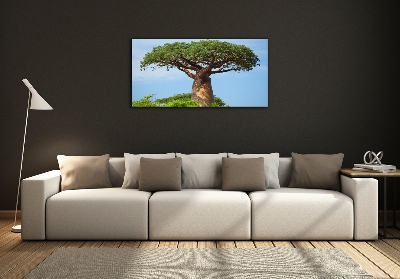 Tableau verre imprimé Baobab