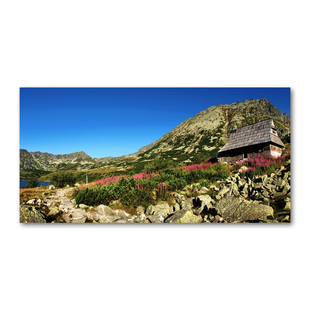 Tableau imprimé sur verre Cabane de berger dans la vallée