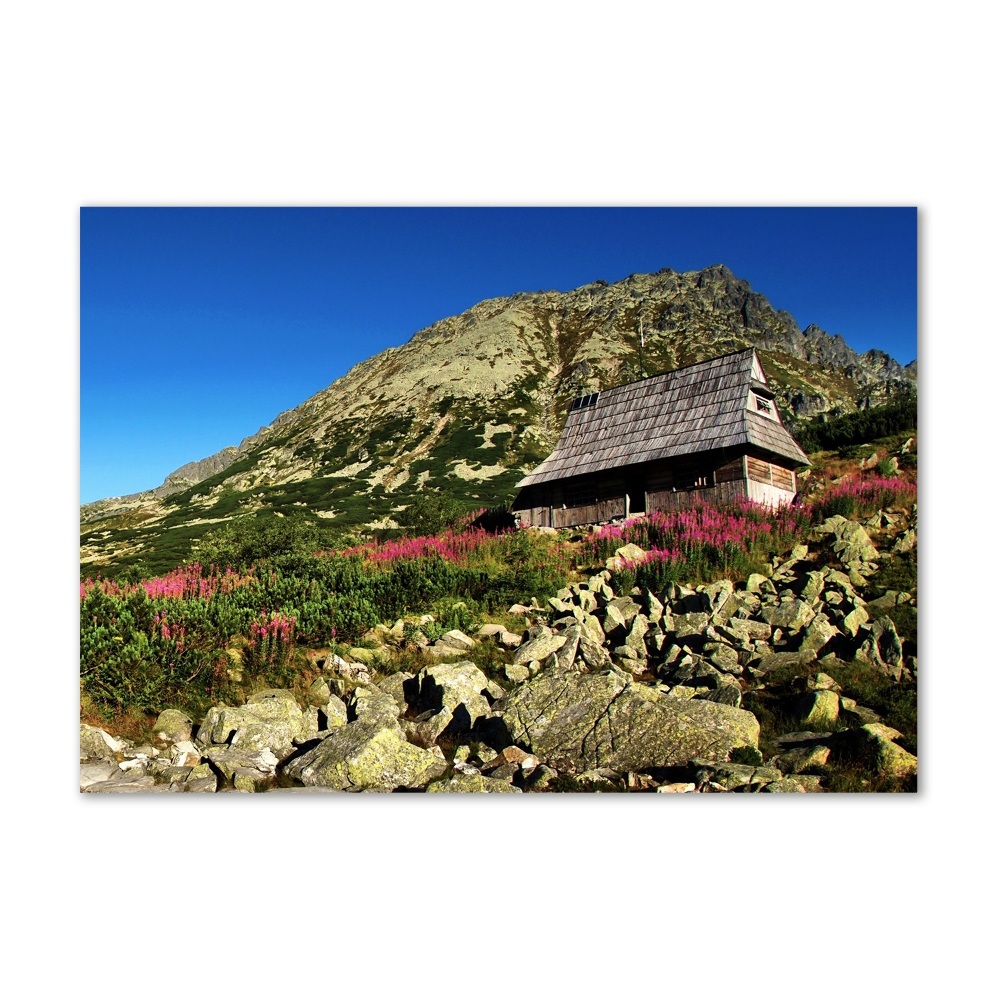 Tableau imprimé sur verre Cabane de berger dans la vallée