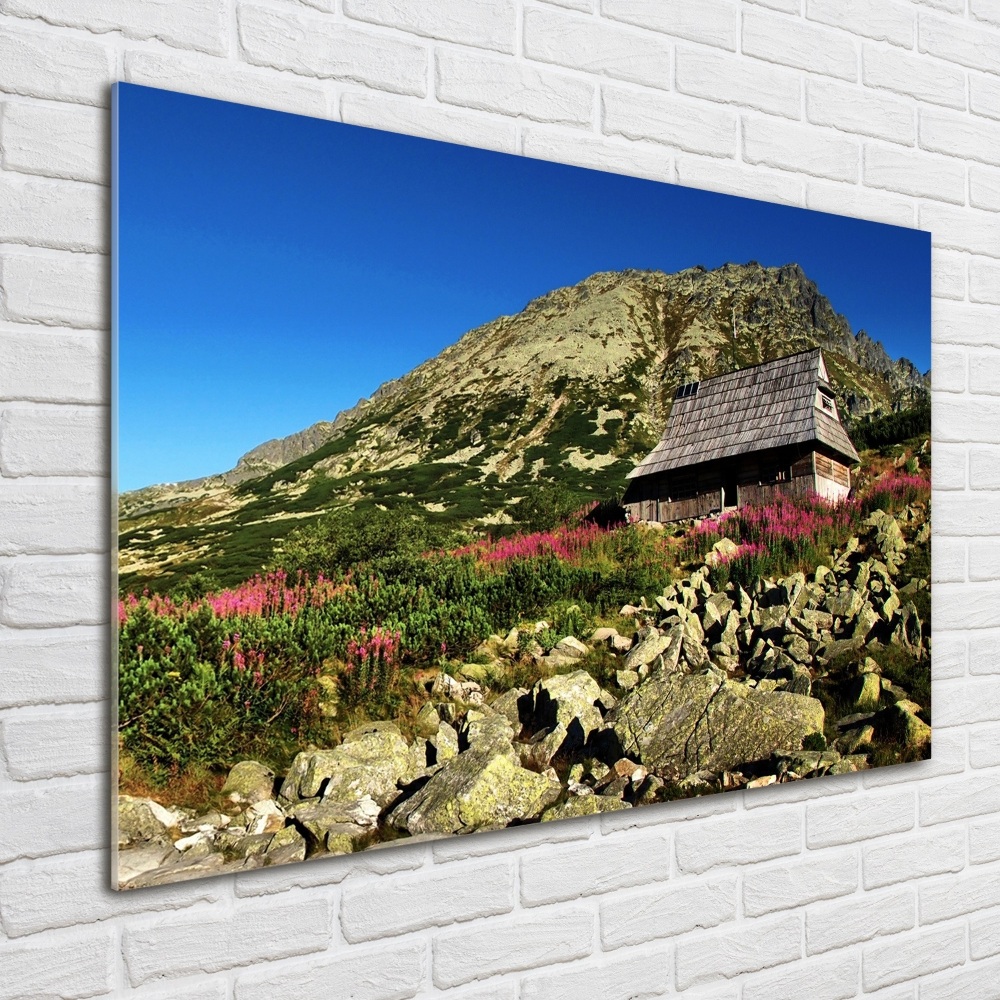 Tableau imprimé sur verre Cabane de berger dans la vallée