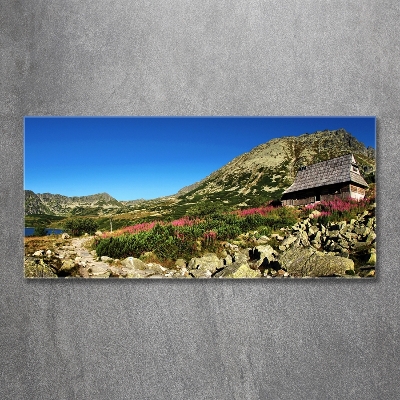 Tableau imprimé sur verre Cabane de berger dans la vallée