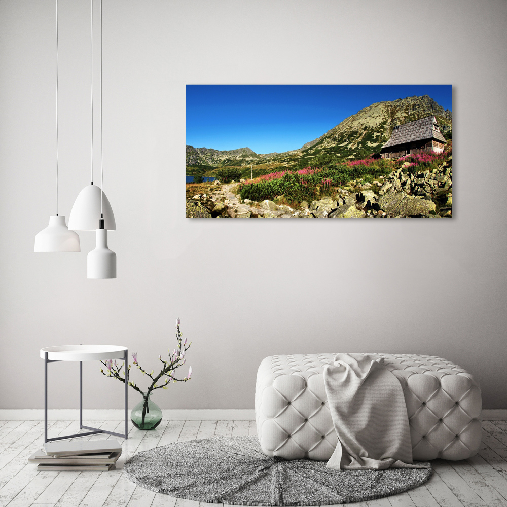 Tableau imprimé sur verre Cabane de berger dans la vallée