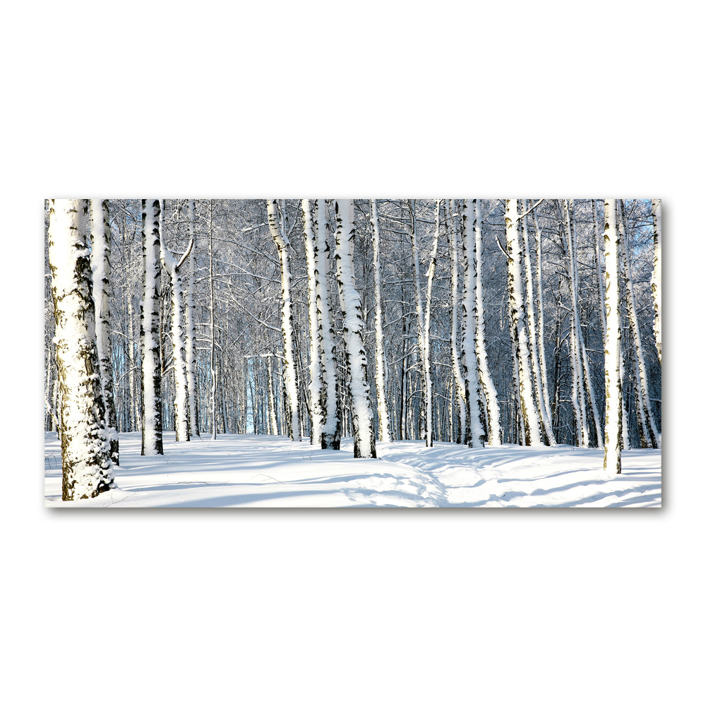 Tableau photo sur verre Forêt en hiver