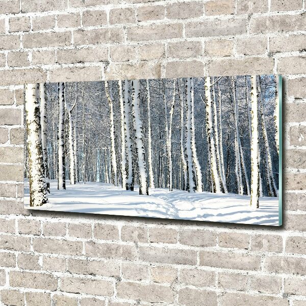 Tableau photo sur verre Forêt en hiver