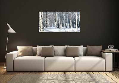 Tableau photo sur verre Forêt en hiver