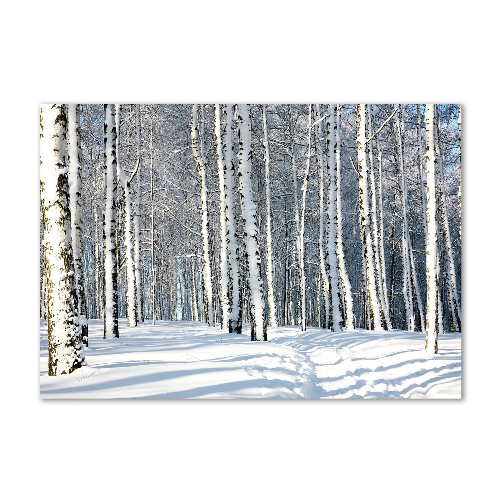 Tableau photo sur verre Forêt en hiver