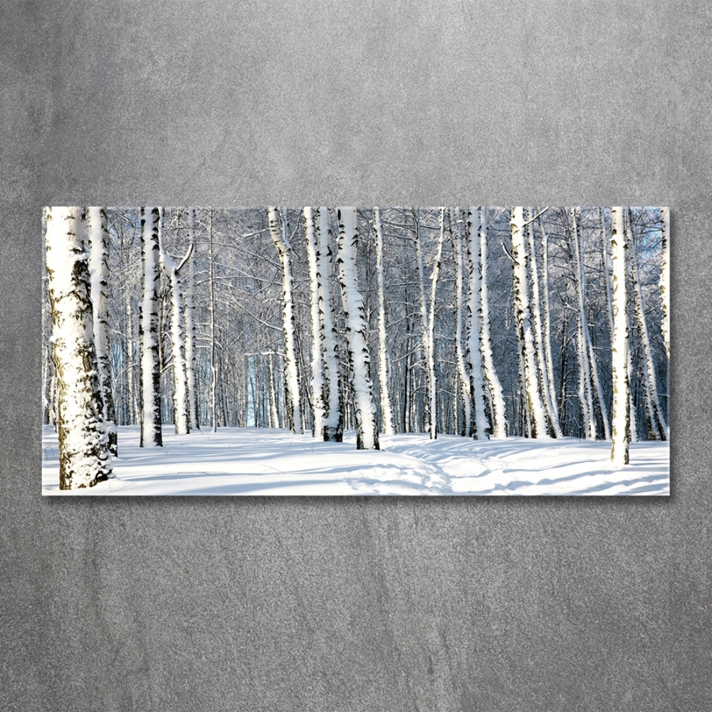 Tableau photo sur verre Forêt en hiver