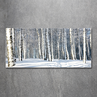 Tableau photo sur verre Forêt en hiver