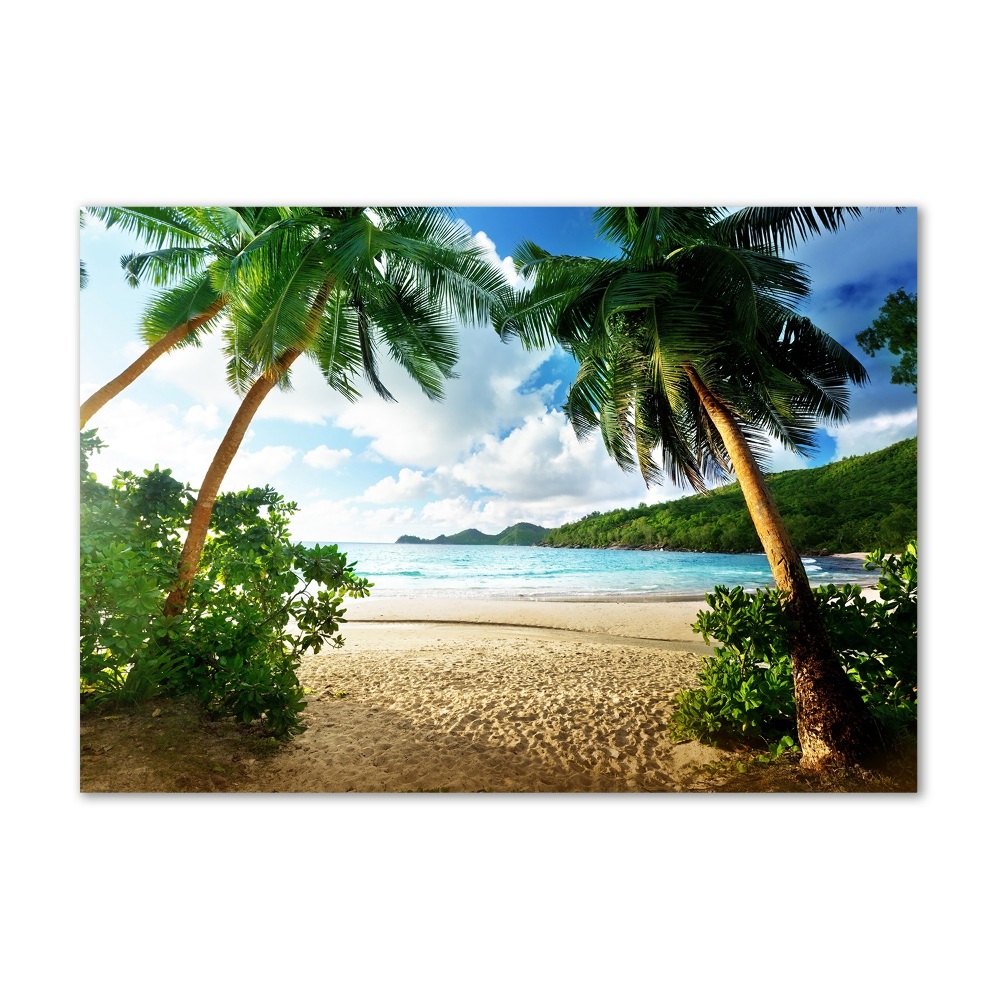 Tableau photo sur verre Palmiers sur la plage