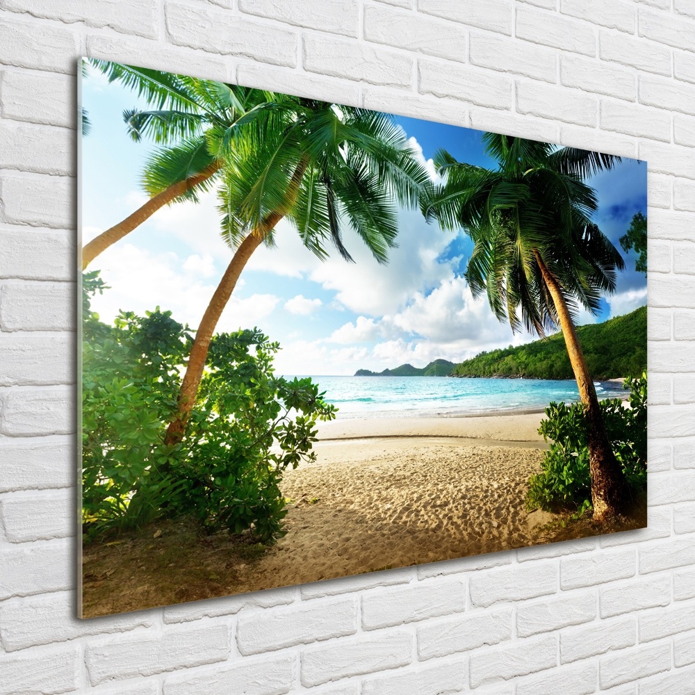 Tableau photo sur verre Palmiers sur la plage