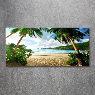 Tableau photo sur verre Palmiers sur la plage