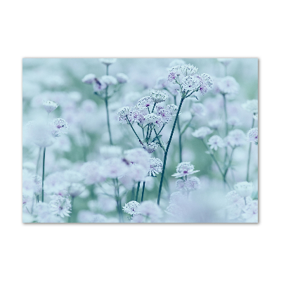 Tableau imprimé sur verre Rowanberry