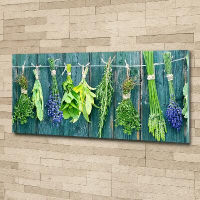 Tableau en verre Les herbes sur un fil