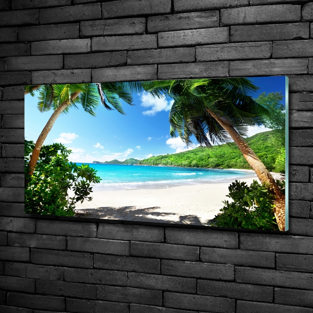 Tableau imprimé sur verre Plage des Seychelles