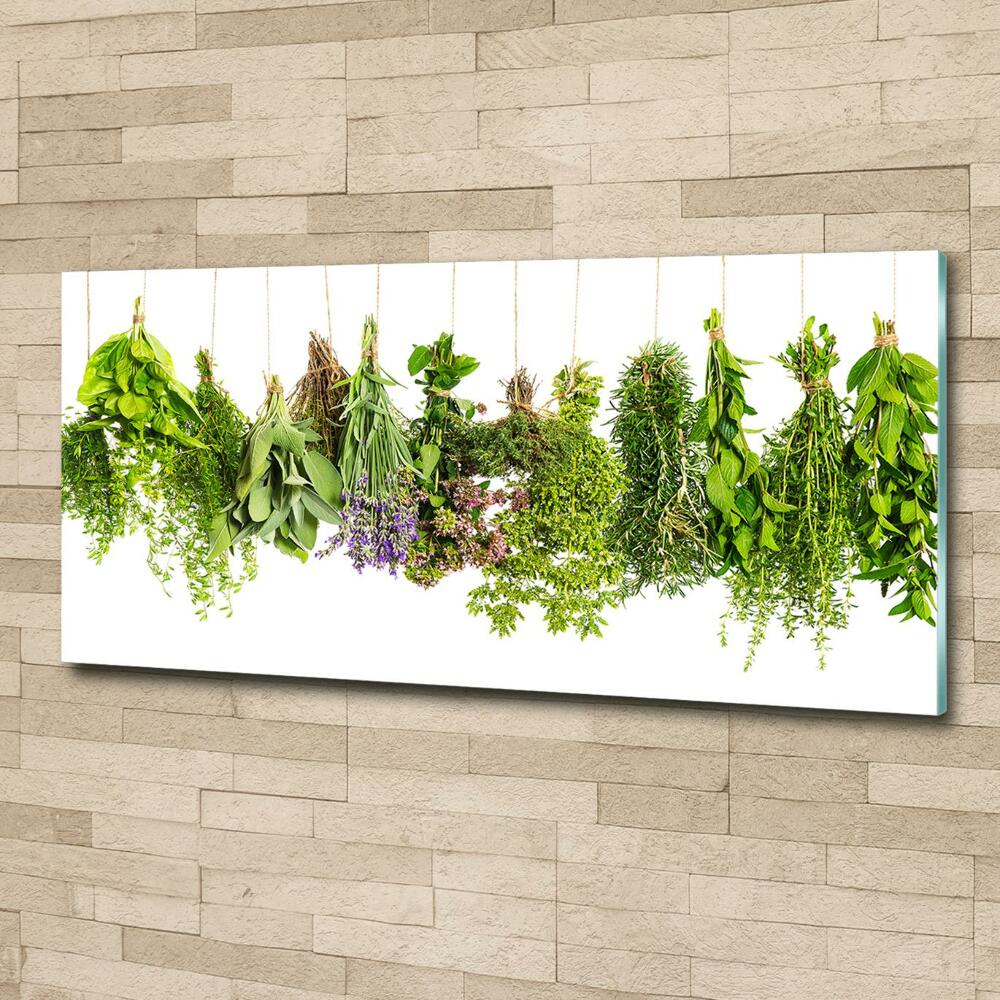 Tableau photo sur verre Herbes sur une ficelle