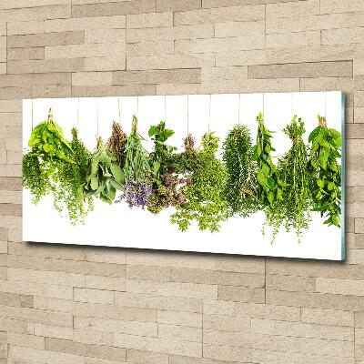 Tableau photo sur verre Herbes sur une ficelle