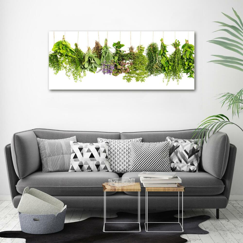 Tableau photo sur verre Herbes sur une ficelle