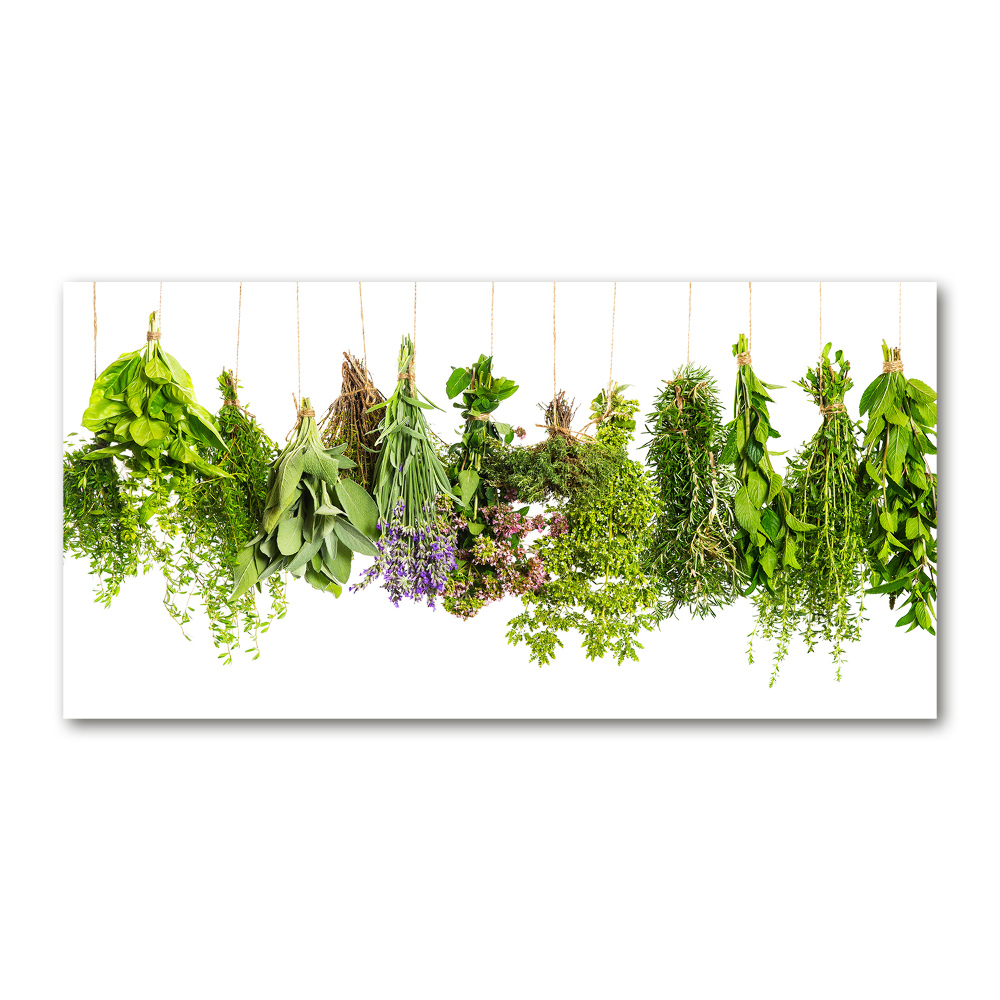 Tableau photo sur verre Herbes sur une ficelle