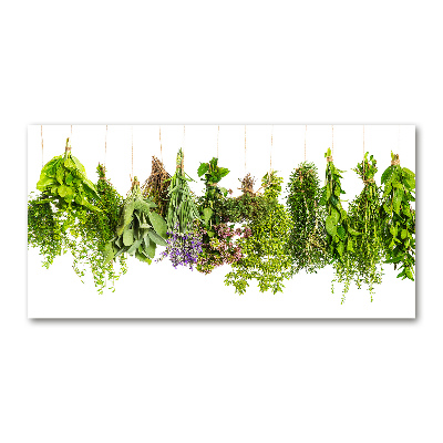 Tableau photo sur verre Herbes sur une ficelle