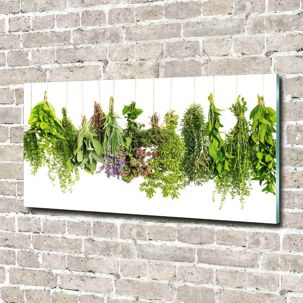 Tableau photo sur verre Herbes sur une ficelle