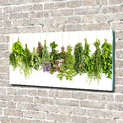 Tableau photo sur verre Herbes sur une ficelle